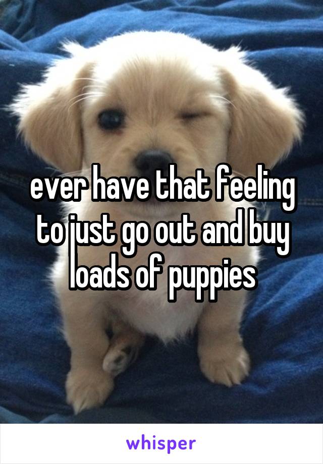 ever have that feeling to just go out and buy loads of puppies