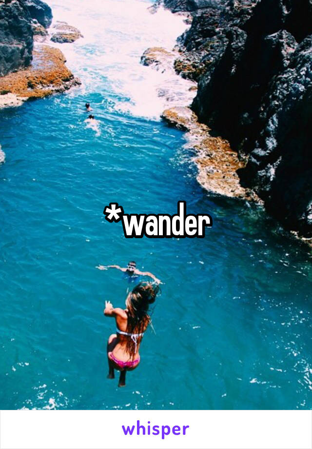 *wander