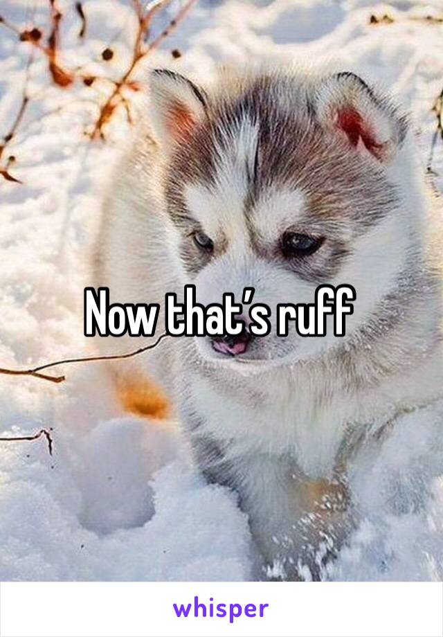 Now that’s ruff