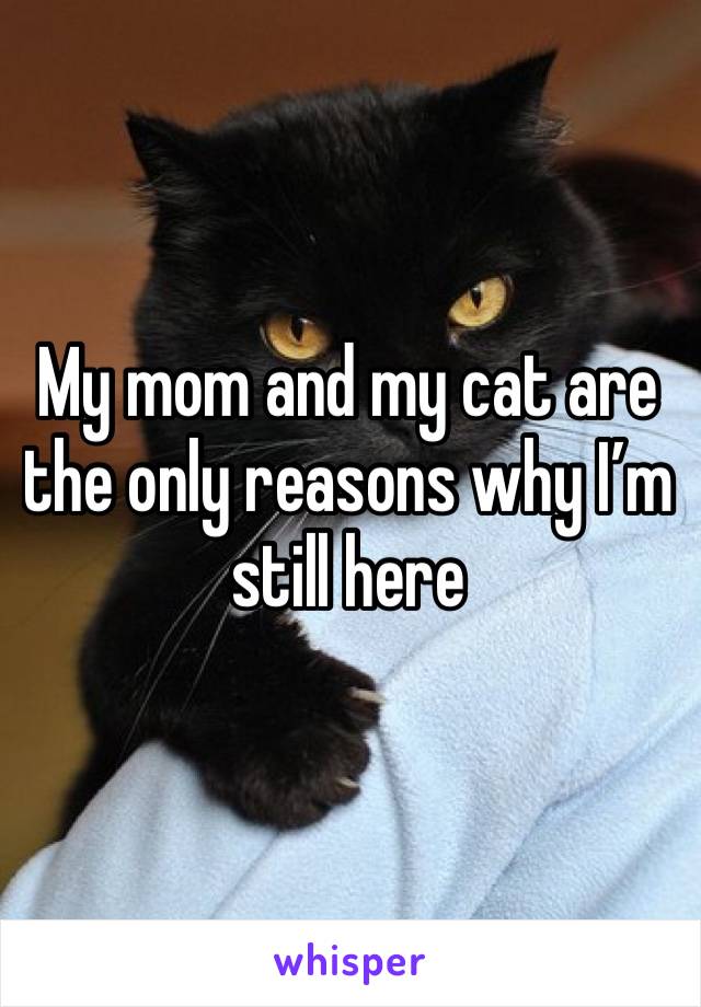 My mom and my cat are the only reasons why I’m still here