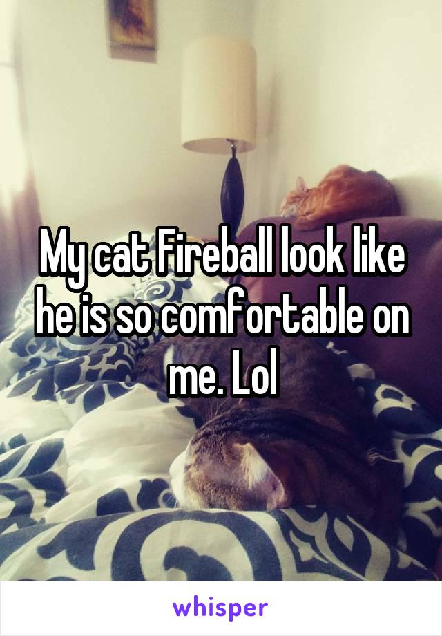 My cat Fireball look like he is so comfortable on me. Lol