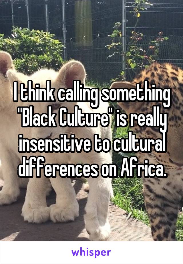 I think calling something "Black Culture" is really insensitive to cultural differences on Africa.