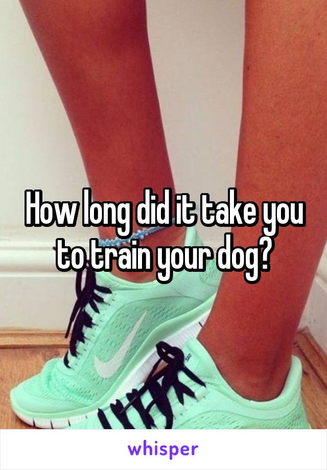 How long did it take you to train your dog?