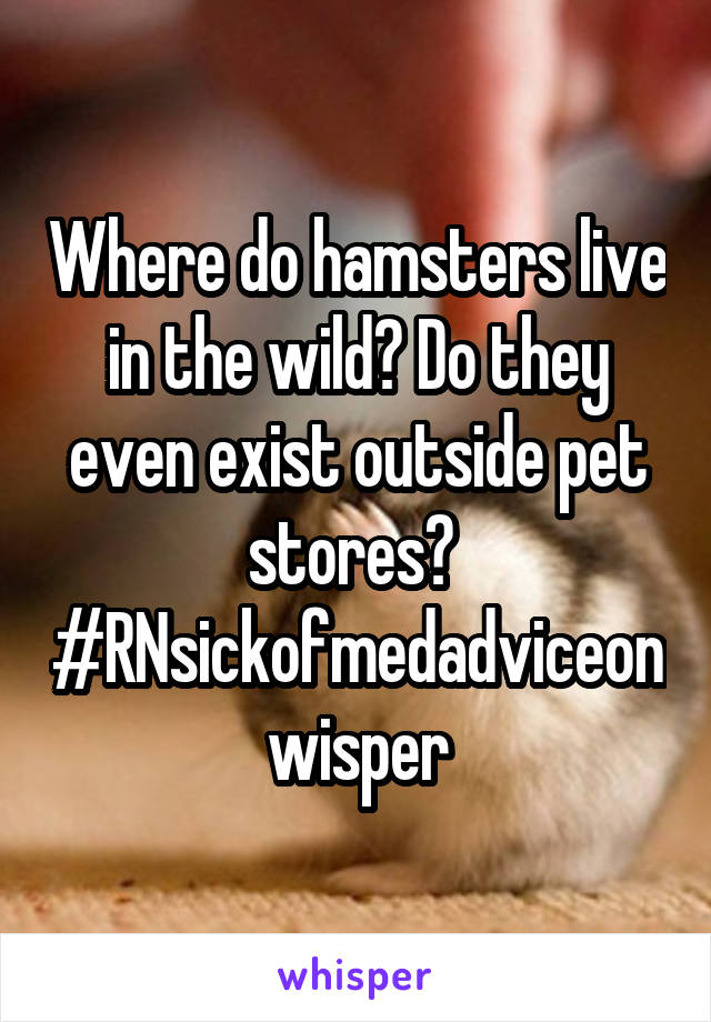 Where do hamsters live in the wild? Do they even exist outside pet stores? 
#RNsickofmedadviceonwisper