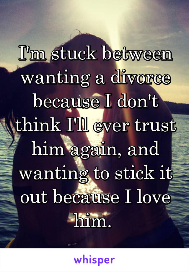 I'm stuck between wanting a divorce because I don't think I'll ever trust him again, and wanting to stick it out because I love him. 