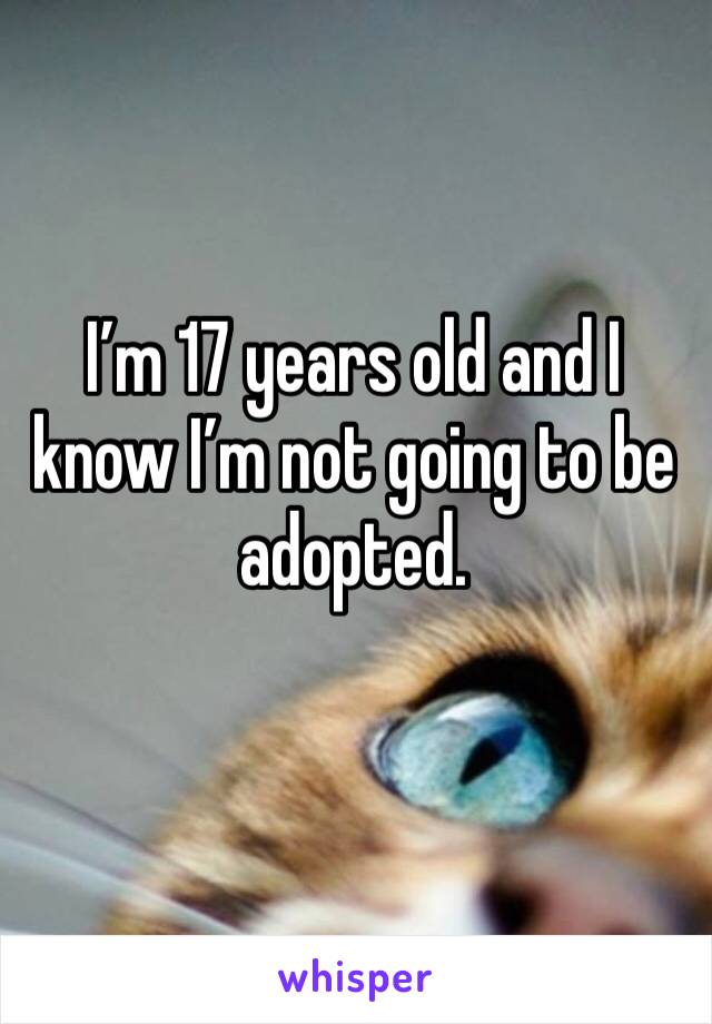 I’m 17 years old and I know I’m not going to be adopted. 