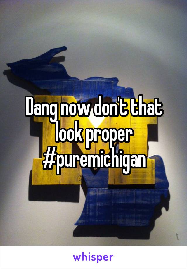 Dang now don't that look proper #puremichigan