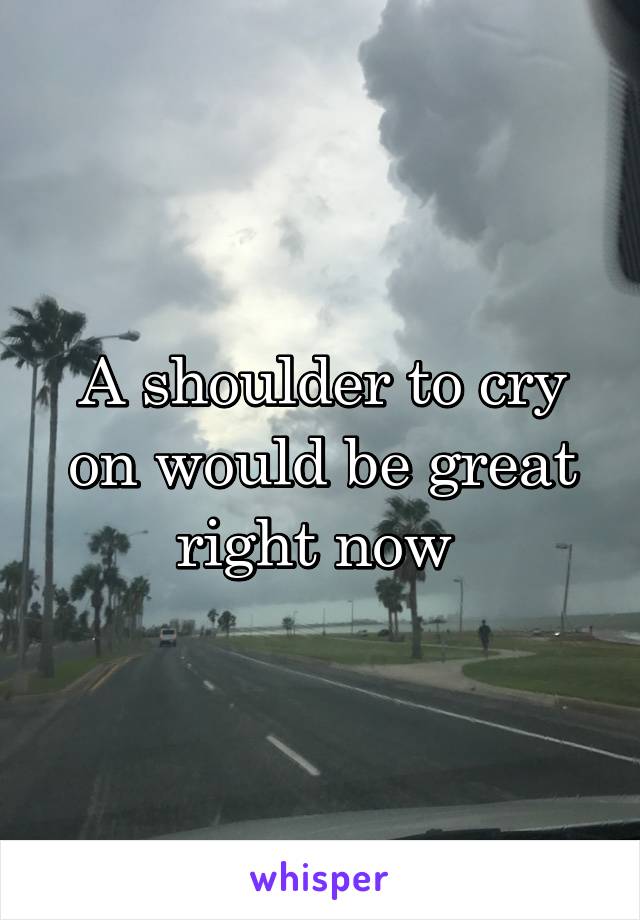 A shoulder to cry on would be great right now 