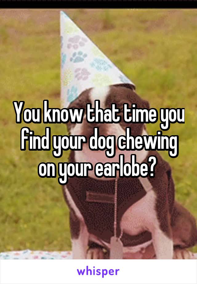 You know that time you find your dog chewing on your earlobe? 
