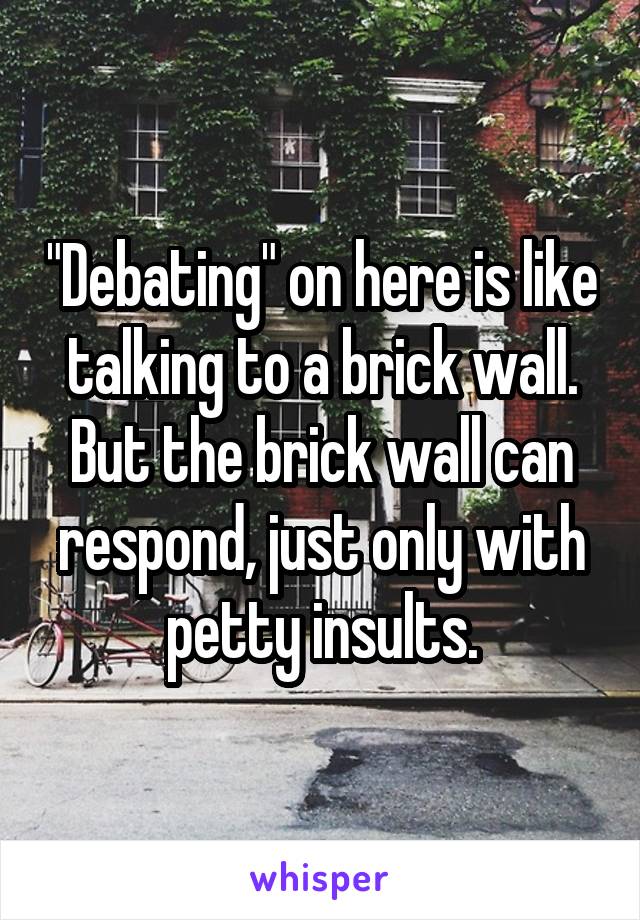 "Debating" on here is like talking to a brick wall. But the brick wall can respond, just only with petty insults.