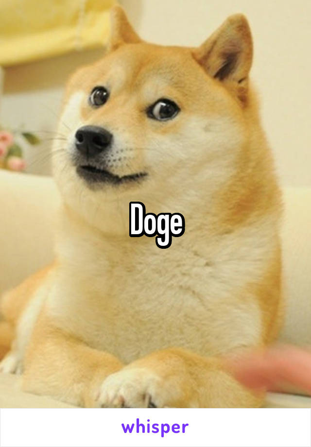 Doge