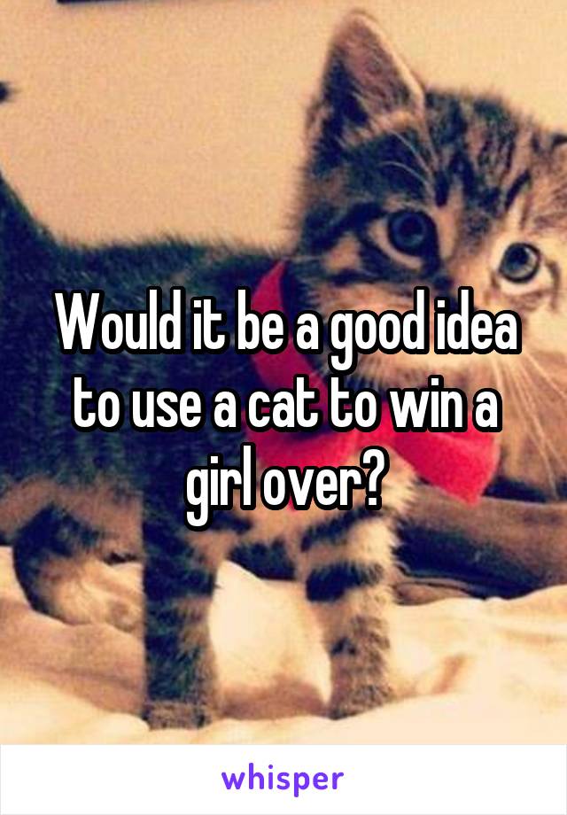 Would it be a good idea to use a cat to win a girl over?
