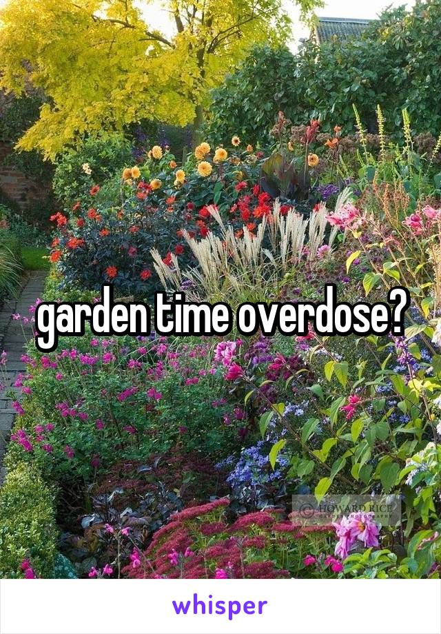 garden time overdose?