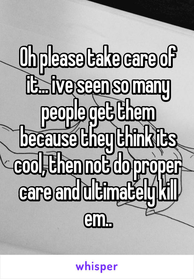 Oh please take care of it... ive seen so many people get them because they think its cool, then not do proper care and ultimately kill em..