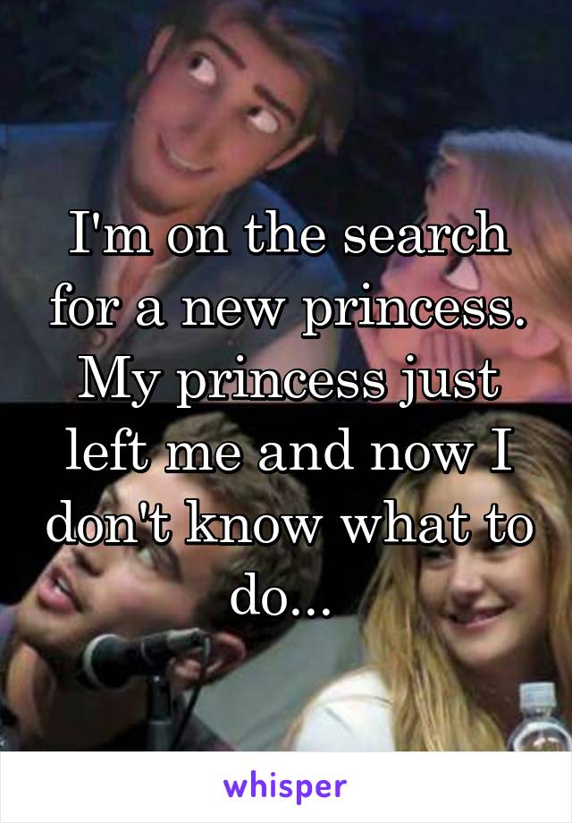 I'm on the search for a new princess. My princess just left me and now I don't know what to do... 