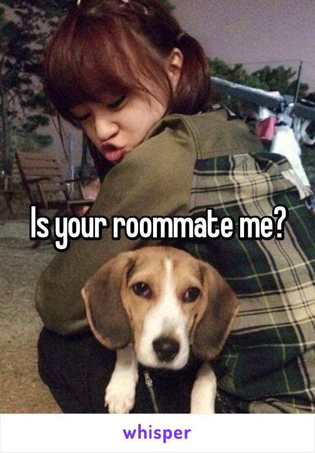 Is your roommate me?