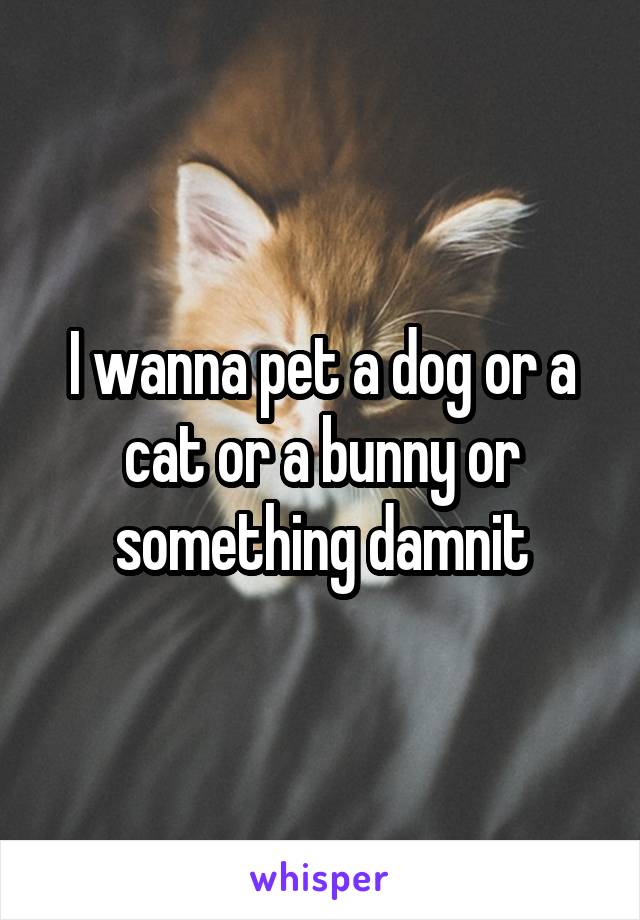I wanna pet a dog or a cat or a bunny or something damnit