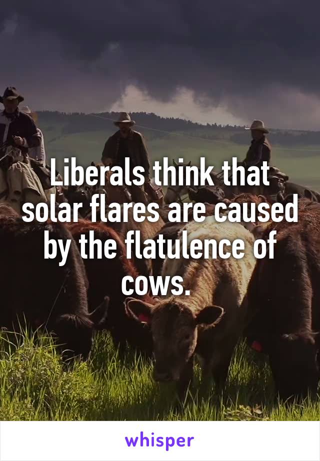 Liberals think that solar flares are caused by the flatulence of cows. 