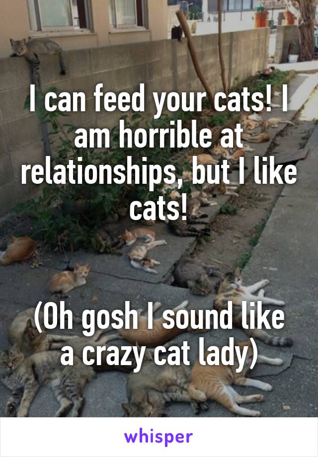 I can feed your cats! I am horrible at relationships, but I like cats!


(Oh gosh I sound like a crazy cat lady)