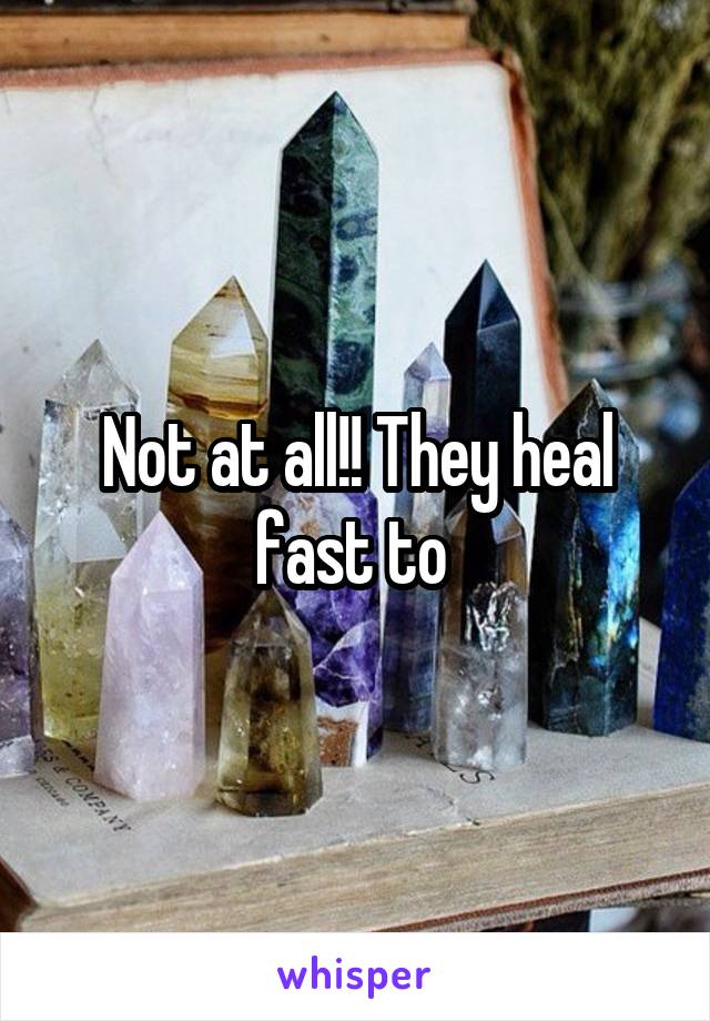 Not at all!! They heal fast to 