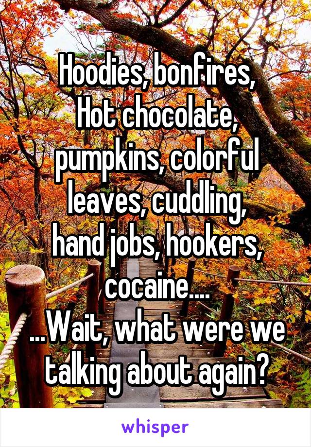 Hoodies, bonfires,
Hot chocolate, pumpkins, colorful leaves, cuddling,
hand jobs, hookers, cocaine....
...Wait, what were we talking about again?
