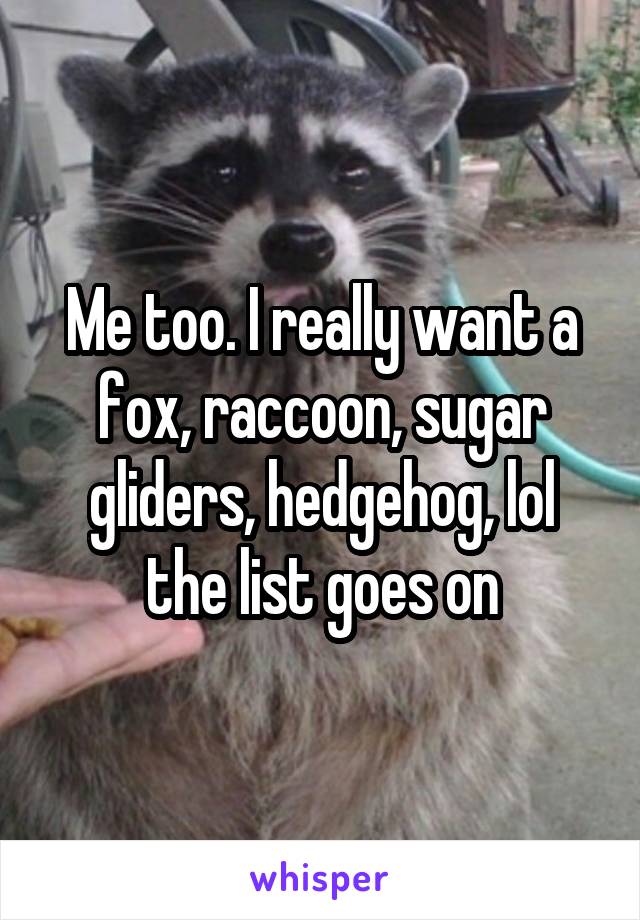 Me too. I really want a fox, raccoon, sugar gliders, hedgehog, lol the list goes on