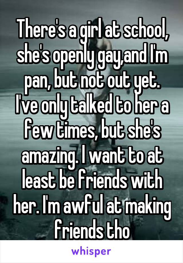 There's a girl at school, she's openly gay,and I'm pan, but not out yet. I've only talked to her a few times, but she's amazing. I want to at least be friends with her. I'm awful at making friends tho