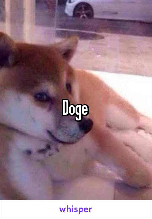Doge 
