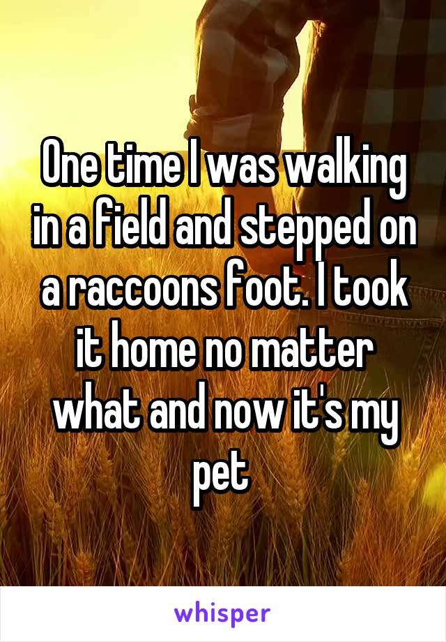 One time I was walking in a field and stepped on a raccoons foot. I took it home no matter what and now it's my pet 