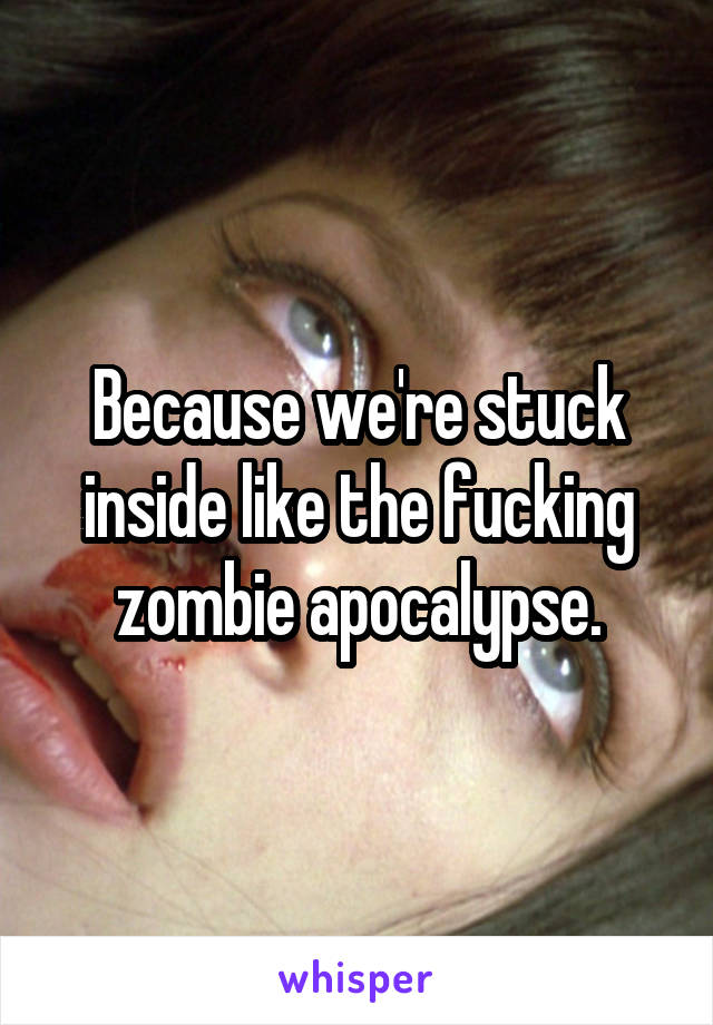 Because we're stuck inside like the fucking zombie apocalypse.