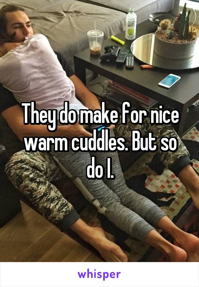 They do make for nice warm cuddles. But so do I.