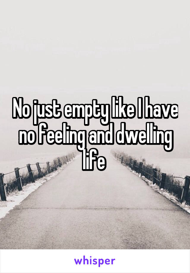 No just empty like I have no feeling and dwelling life 