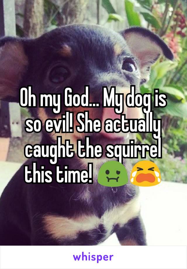 Oh my God... My dog is so evil! She actually caught the squirrel this time! 🤢😭