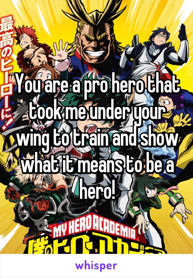 You are a pro hero that took me under your wing to train and show what it means to be a hero!
