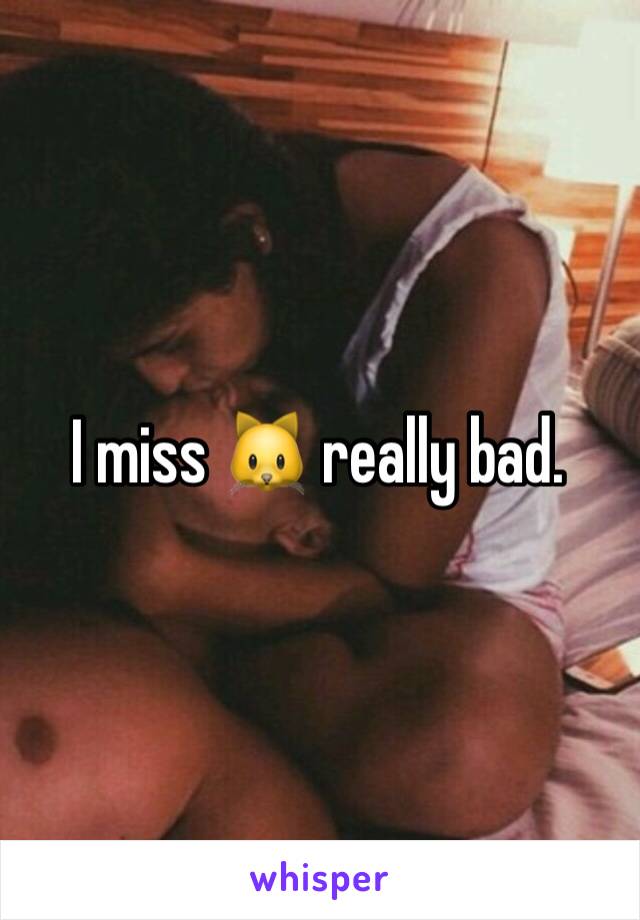 I miss 🐱 really bad. 