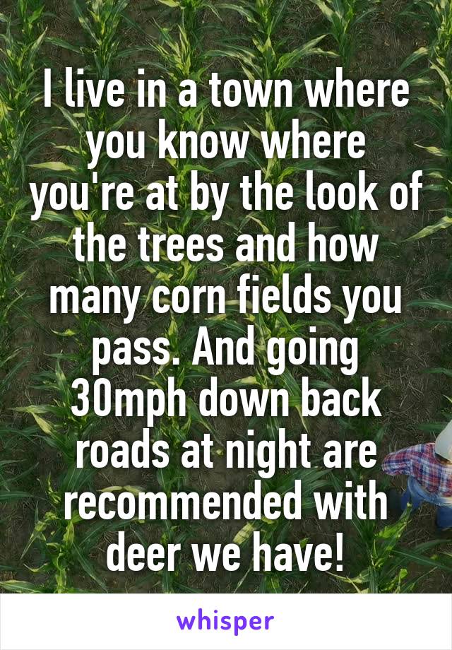 I live in a town where you know where you're at by the look of the trees and how many corn fields you pass. And going 30mph down back roads at night are recommended with deer we have!