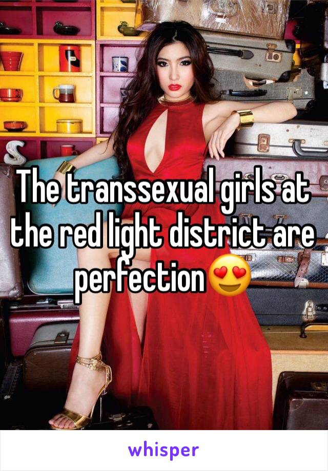 The transsexual girls at the red light district are perfection😍