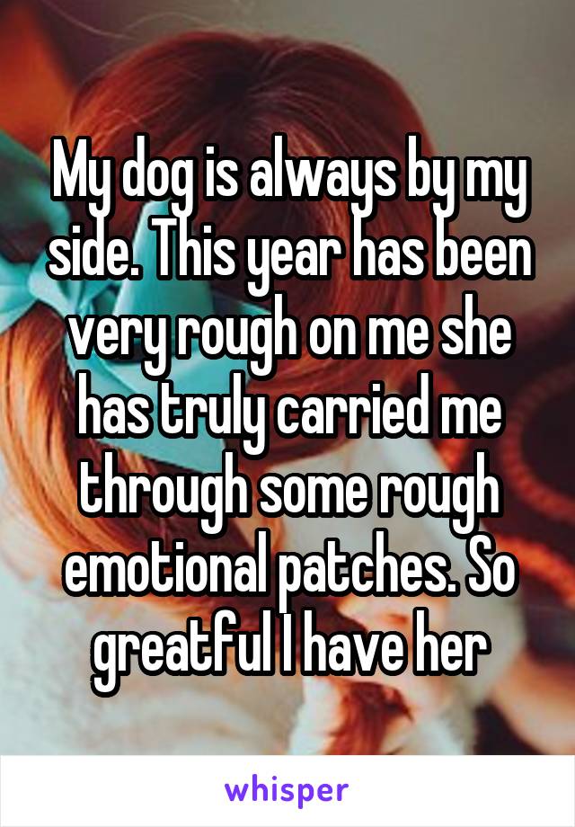 My dog is always by my side. This year has been very rough on me she has truly carried me through some rough emotional patches. So greatful I have her