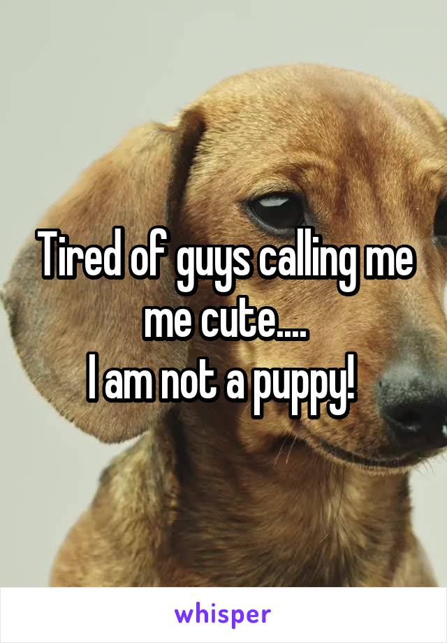 Tired of guys calling me me cute....
I am not a puppy! 
