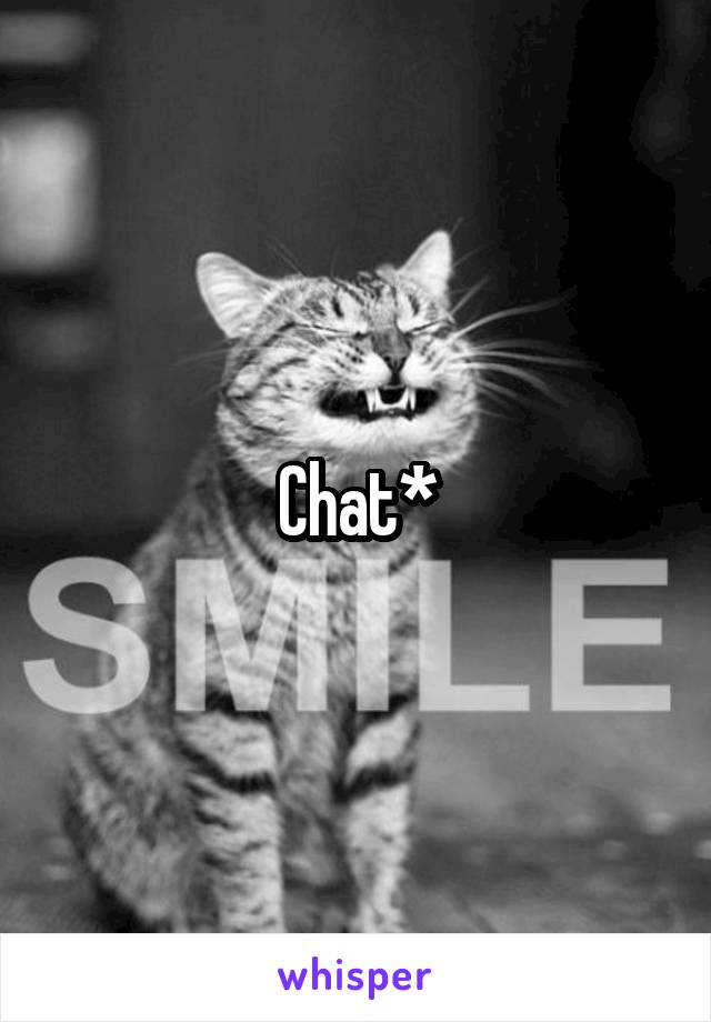 Chat*