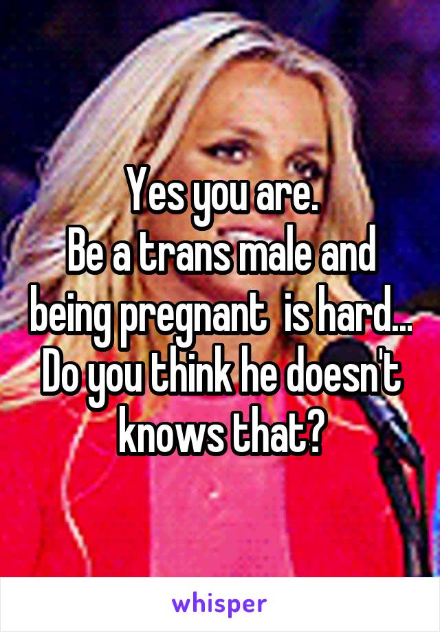 Yes you are.
Be a trans male and being pregnant  is hard... Do you think he doesn't knows that?