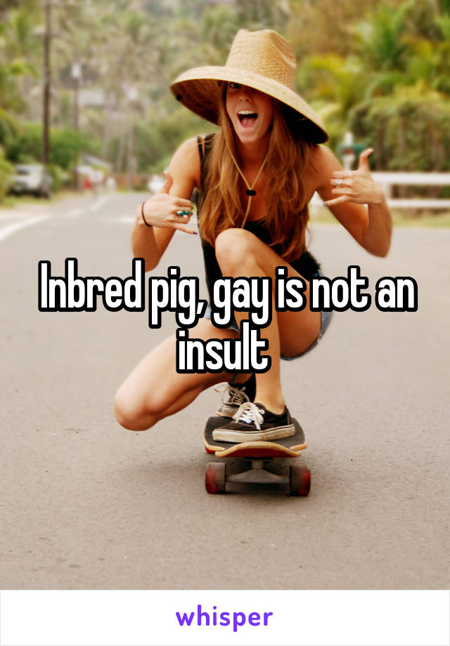 Inbred pig, gay is not an insult 