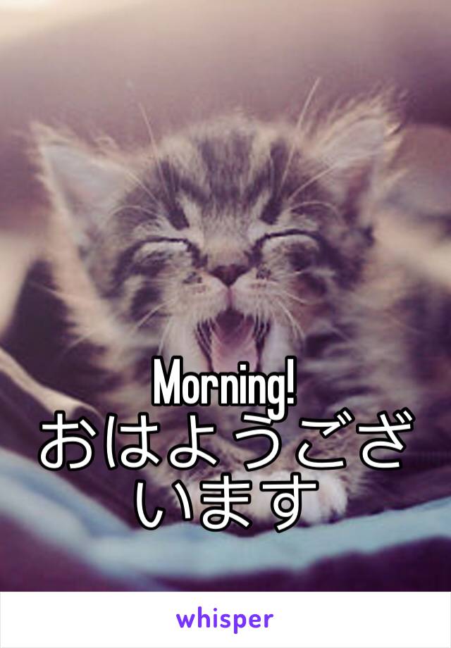 Morning!
おはようございます