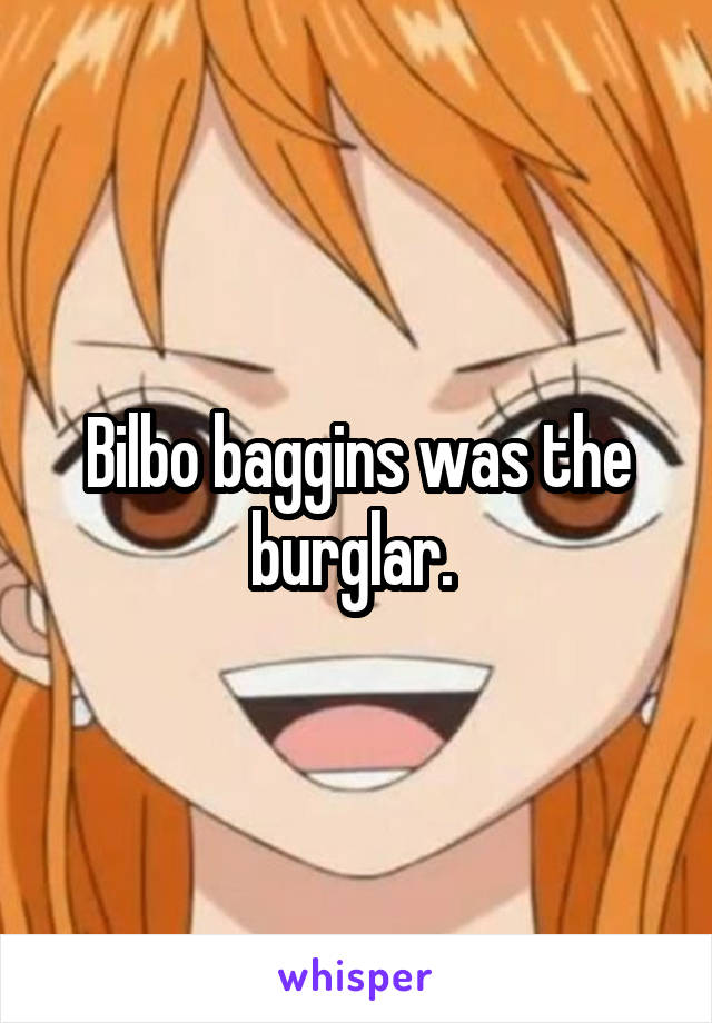 Bilbo baggins was the burglar. 