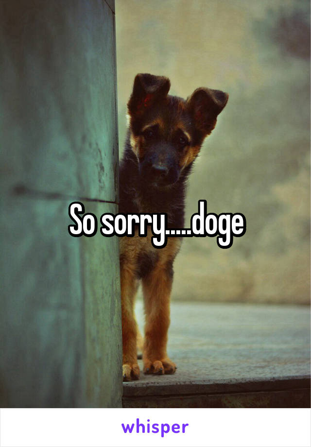 So sorry.....doge