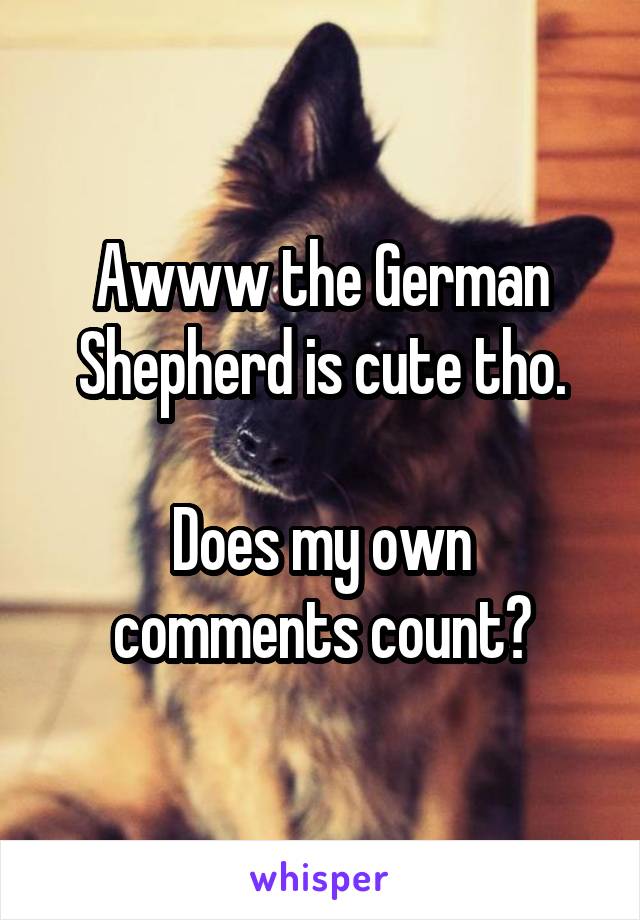 Awww the German Shepherd is cute tho.

Does my own comments count?