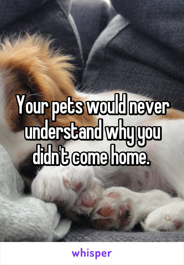 Your pets would never understand why you didn't come home. 