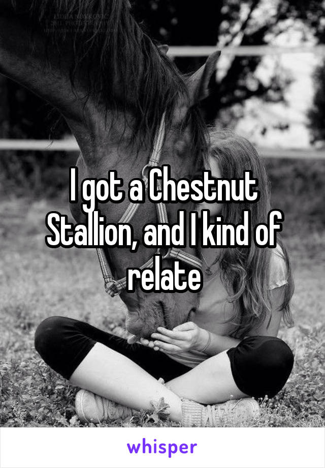 I got a Chestnut Stallion, and I kind of relate