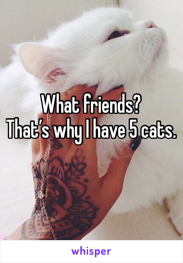 What friends?
That’s why I have 5 cats. 
