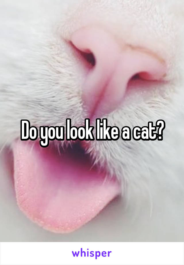 Do you look like a cat?